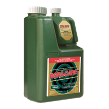 Picture of Bora-Care with Mold-Care (1 gal. bottle)