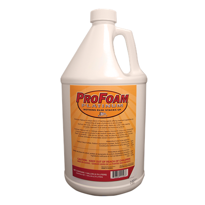 Show details for ProFoam Platinum Picture of ProFoam Platinum