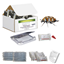 Picture of Pro-Pest Safestore Kit - Varied Carpet Beetle
