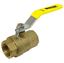 Picture of Webstone 41700 Ball Valve - 1/4 in.