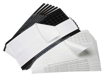 Show details for PestWest Universal Glueboards Picture of PestWest Universal Glueboards