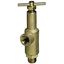 Picture of Spraying Systems 6815-3/4-300 3/4 in. Piston-Type Pressure Relief Valve