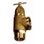 Picture of Spraying Systems AA110-1/1/4 Relief Valve