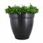 Picture of Catchmaster Ovi-Planter Mosquito Trap