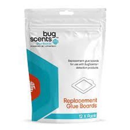 Picture of Bed Bug Repl Glueboard 12/Pk