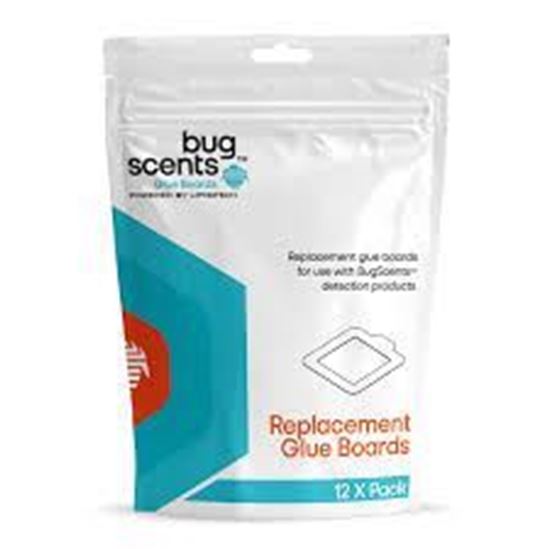 Picture of Bed Bug Repl Glueboard 12/Pk